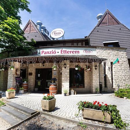 Bed and Breakfast Tercia Hubertus Panzio Шопрон Экстерьер фото