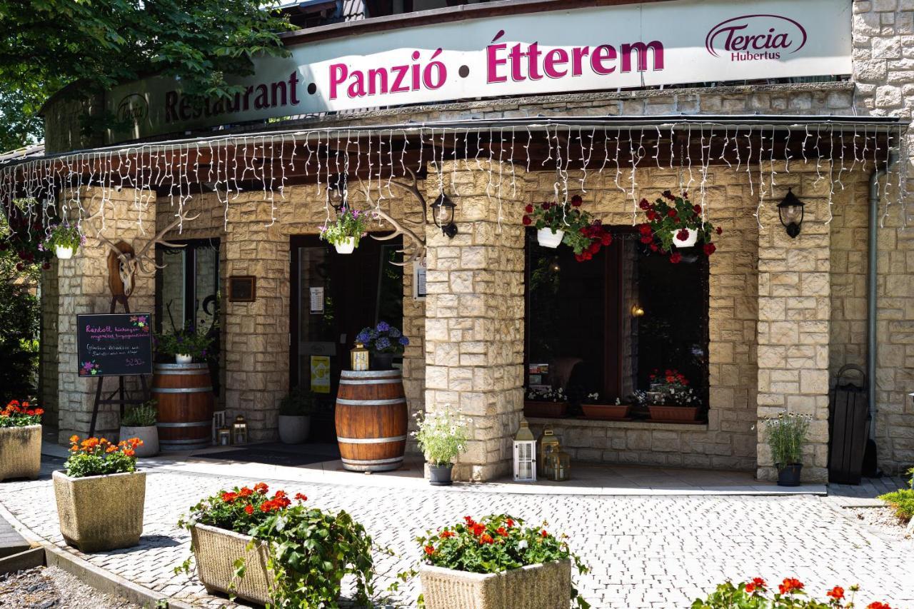Bed and Breakfast Tercia Hubertus Panzio Шопрон Экстерьер фото