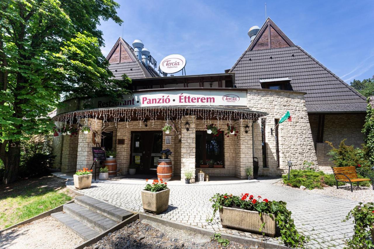Bed and Breakfast Tercia Hubertus Panzio Шопрон Экстерьер фото